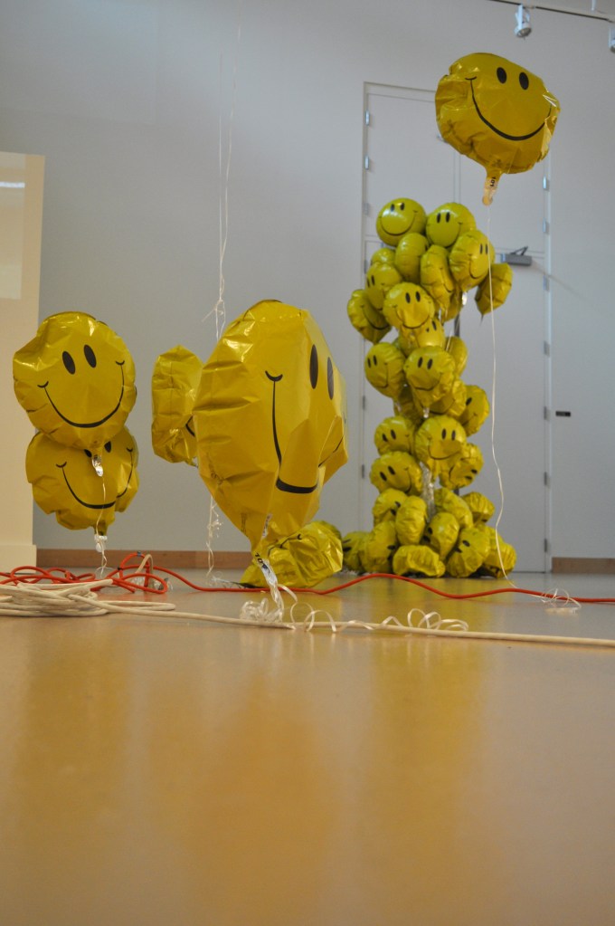 2015 installation shot midlife and peanut