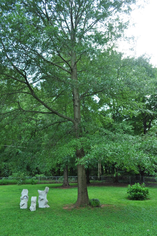 2015 07 Neighbors full