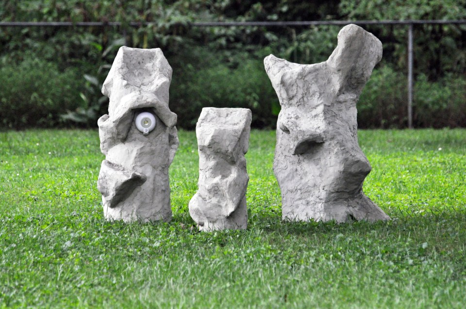 2015 07 Neighbors tele 2