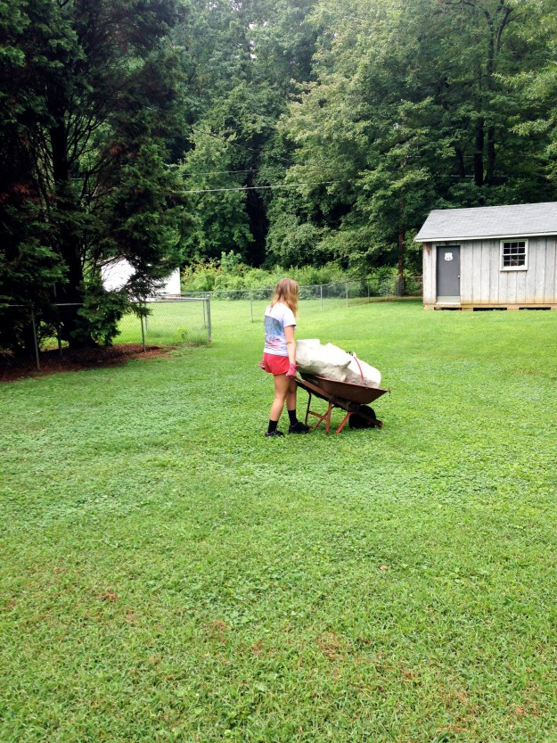 2015 07 Neighbors transport yard 1