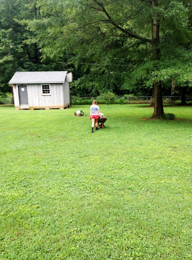 2015 07 Neighbors transport yard 2