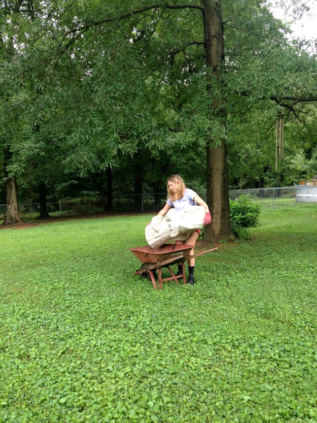 2015 07 Neighbors transport yard 3