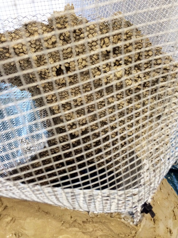 2015 Neighbors in progress inside