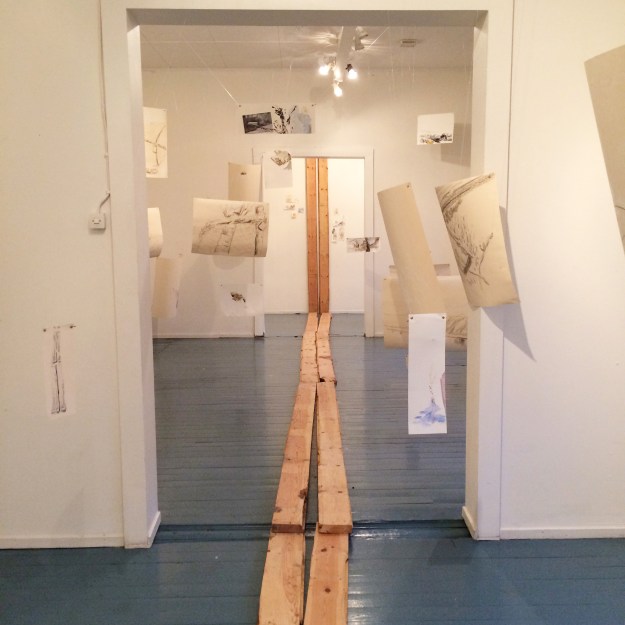 haihatus opening Joao 1 square