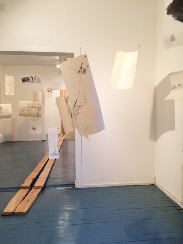 haihatus opening Joao piece