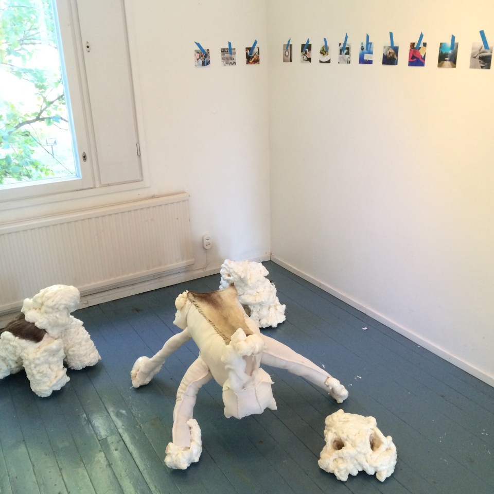 Hybrids close bird eye square