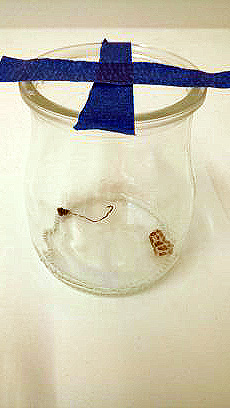 2016 05 jar vert cell