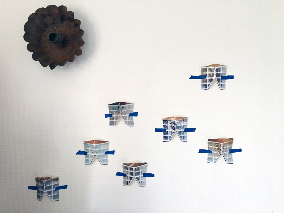 2016 08 lint butterflies