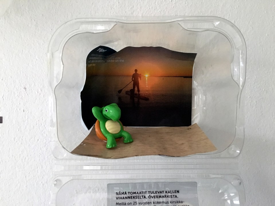 2016 08 plastic turtle