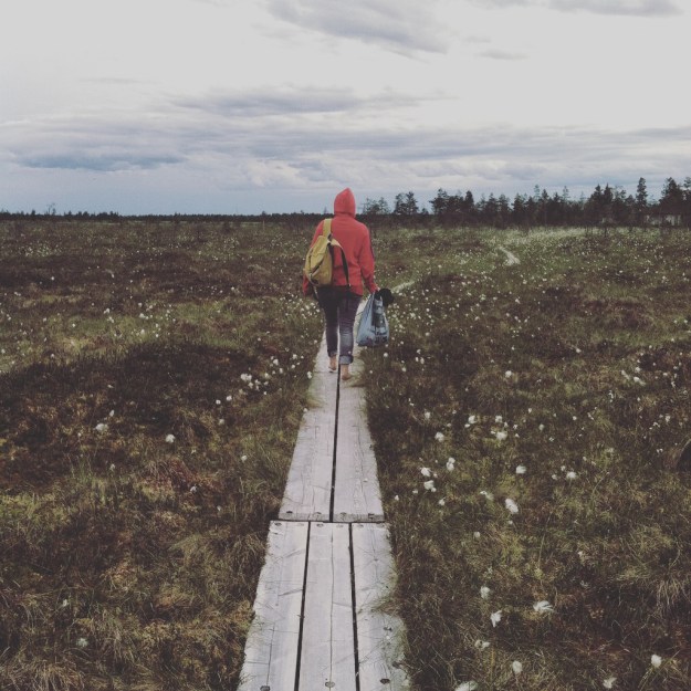 2016 k midsummer dinda path