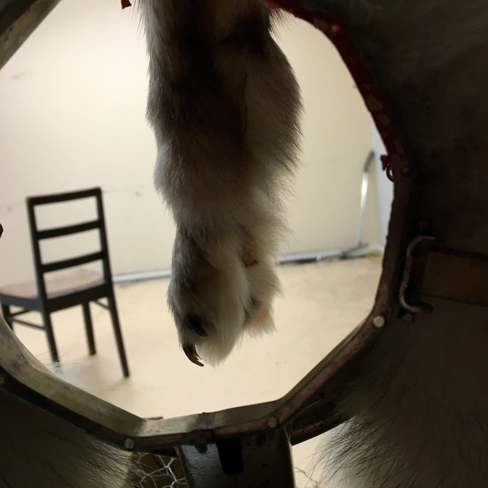 2016-09-a-mother-from-behind-eyes